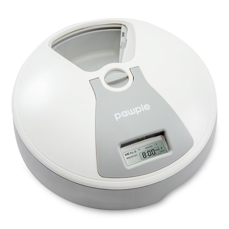 Pawple automatic outlet pet feeder